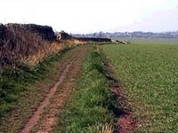 Axle Lane