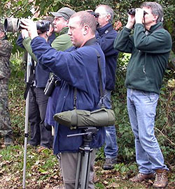SK58 watching Dusky Warbler