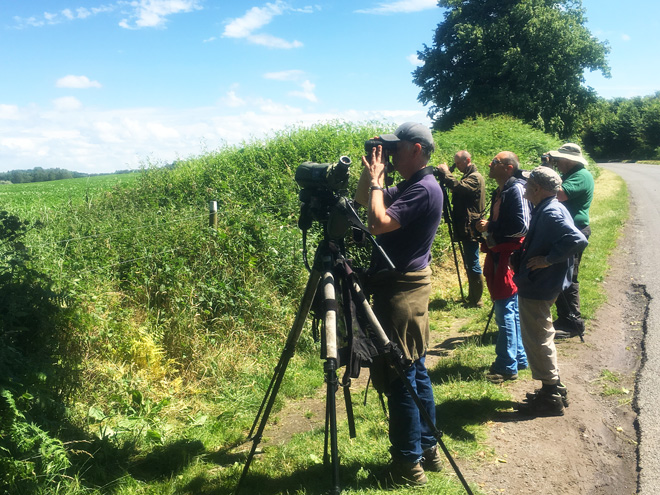 SK58 Birders Field Trip @ Welbeck &copy; Andy Hirst