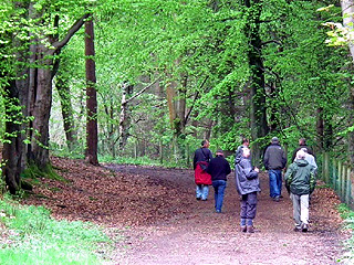 Group- Wyming Brook