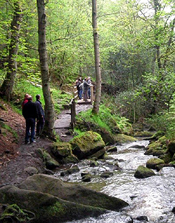 Wyming Brook